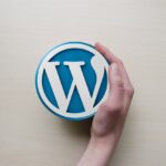 Assistenza WordPress dove trovarla ?