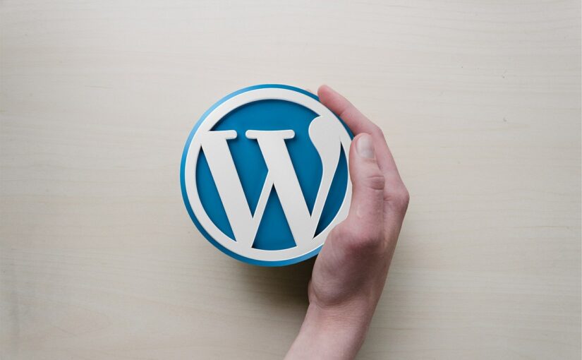 Assistenza WordPress dove trovarla ?