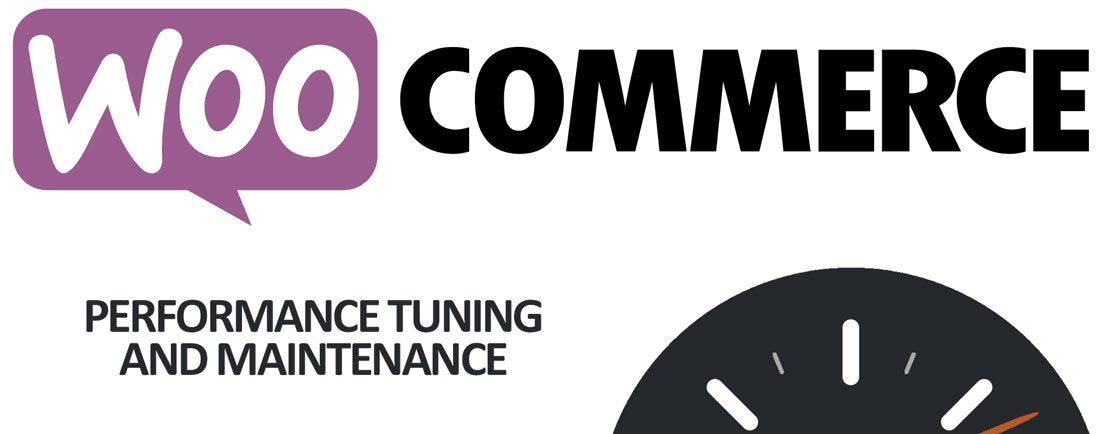 woocommerce-performance-manutenzione